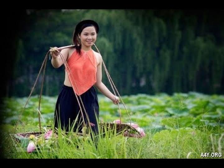 Cơ hội Vàng: Đầu tư An toàn vào Thị trường Video Ngắn cùng Hotspot Matrix