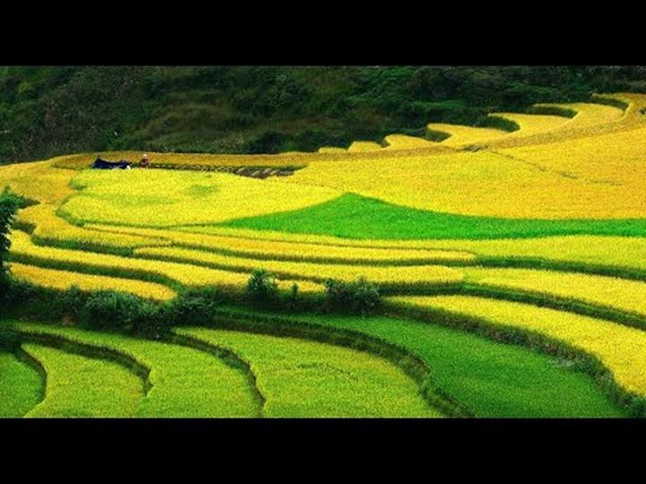 Chuyên gia IT và thành công với Hotspot Matrix: Xây dựng kênh video triệu view
