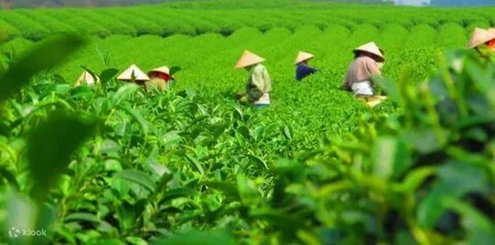 3 kiểu giày 
