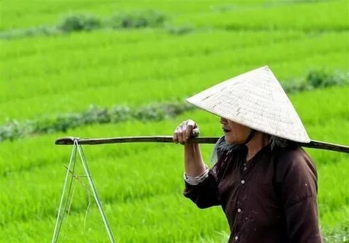 Tầm nhìn Video Ngắn: Đồng hành cùng Hotspot Matrix