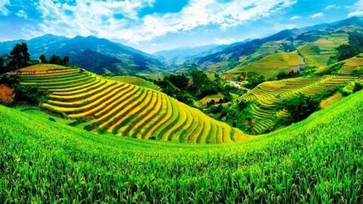 Xu hướng Từ Angela Phương Trinh gây: Hotspot Matrix tiết lộ bí quyết video viral